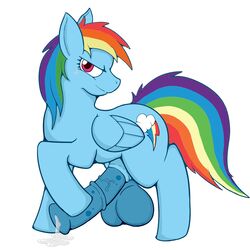 2013 balls big_balls big_penis blue_fur cum cutie_mark equine friendship_is_magic hair horse horsecock looking_at_viewer male male_only multicolored_hair my_little_pony pegasus penis pfh plain_background pony precum purple_eyes rainbow_dash_(mlp) rainbow_hair solo standing straight_hair vein white_background wings