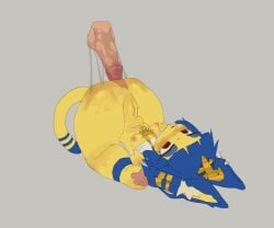 1boy 1girls anal anal_sex animal_crossing animated ankha anthro ass_up balls big_anus blue_hair bouncing_breasts breasts cat_ears cha_tuo_yan disembodied_penis female male nintendo nude small_breasts stomach_bulge sweat sweaty upside-down yellow_fur