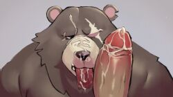 2boys after_fellatio animal_ears bara bear_boy bear_ears ben_bigger biceps brown_fur cum cum_in_mouth cum_on_body cum_on_tongue english_commentary erection facial fellatio furry furry_male looking_at_penis looking_to_the_side male_focus malliseed multiple_boys nose_bubble notched_ear open_mouth oral penis plump scar scar_across_eye scar_on_face sex tongue tongue_out yaoi zenless_zone_zero