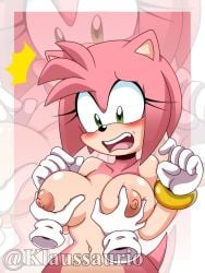 amy_rose klaussaurio tagme