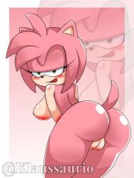 amy_rose klaussaurio tagme