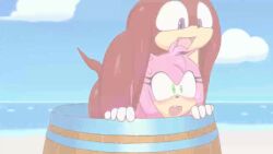 1boy 1girls 2d 2d_animation amy_rose amy_rose_(boom) animated anthro artist_name barrel big_penis black_nose cock_shock echidna excito exposed_torso female footwear gloves green_eyes handwear hedgehog huge_cock implied_penetration implied_sex knuckles_(boom) knuckles_the_echidna large_penis long_cock long_dick long_penis looking_at_penis male mostly_nude motion_tweening mp4 music penis penis_awe pink_fur pink_hair purple_eyes red_fur red_hair red_penis sega sex shorter_than_10_seconds sonic_(series) sonic_boom sound straight tagme thick_penis video