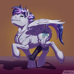 1boy balls blitzstar cutie_mark equine erection etchpony furry horse male male_only mane muscles muscular my_little_pony no_humans original_character penis pony precum rule_63 solo vein wings