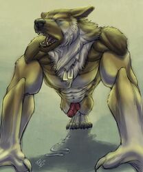 abs anthro balls biceps canine cum erection fur furry german_shepherd knot male male_only pecs penis silver_fenrir solo