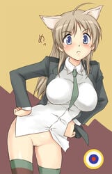 :< ahoge alternate_hairstyle animal_ears blue_eyes blush bottomless breasts brown_hair clothing female hands_on_hips large_breasts long_hair lynette_bishop mirutsu_(milts) necktie pussy solo stockings strike_witches striped striped_legwear thighhighs uncensored