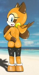 10s 1girls 2013 anthro ass bare_ass bare_back beach beige_fur blue_eyes cub day female full_body jetfrozen looking_at_viewer looking_back marine_the_raccoon outdoors presenting raccoon seaside sega shoulder_blades solo sonic_(series) sonic_rush_adventure standing video_games young