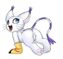 2017 :3 all_fours anthro anus ass blue_eyes clothing digimon fangs feline female fur furry furry_only gatomon gloves looking_back mammal mcsadat pawpads pussy simple_background solo tail tongue whiskers white_background white_fur