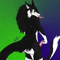 anthro ass furry looking_back male male_only no_humans penis sergal solo tongue tongue_out wuffs wuffypie zoki