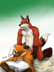 2013 anthro anthrofied bed buttjob canine closed_eyes erection fox furry gay jasonwerefox male male_only mike_(artist) no_humans penis pillow rubbing sex sleeping werefox