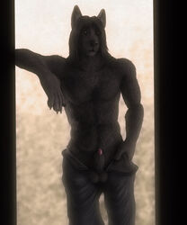 2013 anthro balls biceps black_fur black_nose canine canine_penis claws clothing erection eye_contact fur hair kuro_(anakuro) long_hair looking_at_viewer male male_only muscles pants pecs penis presenting sheath smile solo standing topless virtyalfobo wolf