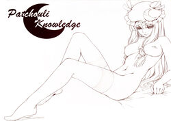 female patchouli_knowledge tagme touhou