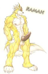 2011 anthro balls canine erection furry male male_only muscles no_humans penis solo utx-shapeshifter wolf