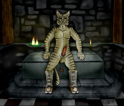 anthro balls boots candle dark erection feline furry geowolf green_eyes khajiit male male_only no_humans nude penis skyrim solo stripes the_elder_scrolls video_games