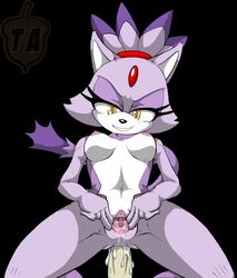 blaze the cat from sega by soultornado