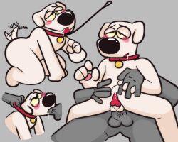 brian griffin from family guy