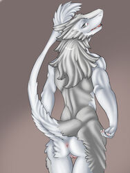 akuna ass female furry northern pussy raised_tail sergal slit spreading winteranswer