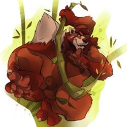 2013 anthro balls bamboo biceps blue_eyes claws fur hair kuma looking_at_viewer male male_only nipples nude open_mouth panda paws pecs red_panda smile solo