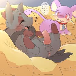 ambiguous_gender animal_genitalia animal_penis anus balls blush canine canine_penis erection fur knot male mammal nintendo nude open_mouth penis pokémon_(species) pokemon pokemon_(species) pu_sukebe rattata sleeping smile text translation_request video_games zorua