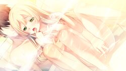 blonde_hair blush breast_grab breasts brown_hair game_cg green_eyes innocent_bullet long_hair nipples oosaki_shinya yasouji_ai