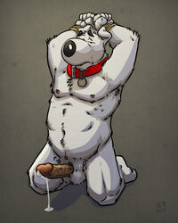 1boy 2013 anthro balls biceps bound brian_griffin canine collar family_guy fur furry k-9 kneeling male male_only musclegut muscles pecs penis precum rope solo vein