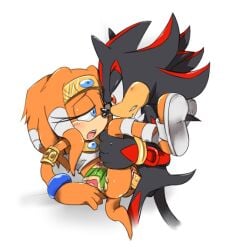 1boy 1girls anthro black_fur blue_eyes cylent_nite furry orange_fur penetration penis red_eyes sega sex shadow_the_hedgehog skirt_up sonic_(series) sonic_the_hedgehog_(series) tikal_the_echidna vagina vaginal_penetration vaginal_penetration vaginal_sex