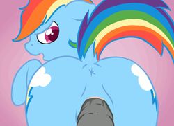 animal animated anus equine fearingfun female friendship_is_magic horse my_little_pony pegasus penetration penile_penetration penis penis_in_pussy pony pussy rainbow_dash_(mlp) sex straight_hair vagina vaginal vaginal_penetration vaginal_sex wings