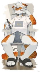 anthro balls blue_eyes clothing domestic_cat erection erection_under_clothing eyebrows felid feline felis fingers fur genitals hair hi_res holding_object holding_pen hu_ku_li_(milkytiger1145) kemono male mammal milkytiger1145 orange_body orange_fur pen sitting solo striped_body striped_fur stripes tail white_body white_fur