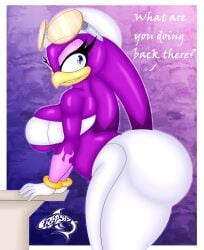 alternate_version_available anthro avian big_ass blue_eyes dat_ass purple_fur renegade-157 sega sonic_(series) tagme wave_the_swallow