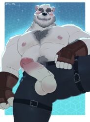 1boy abs animal_ears another_eidos-r bara bear_boy bear_ears belt black_belt blue_pants blush brown_gloves chest_hair english_commentary erection fingerless_gloves furry furry_male gloves highres kiba2412 looking_to_the_side male_focus muscular muscular_male nipples one_eye_closed open_pants pants pectorals penis scar scar_across_eye sigvaldi_(another_eidos) sweatdrop testicles thigh_strap topless_male twitter_username