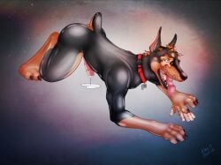 2019 4_toes 5_fingers all_fours biped_to_quadruped black_body black_lips black_nose blue_eyes bodily_fluids bone_collar_tag bound brown_eyes canid canine canis claws collar collar_only collar_tag digital_media_(artwork) digitigrade dobermann domestic_dog dripping encasement erection feet feral fingers forced forced_transformation genital_fluids genitals glistening glistening_body goo_transformation hair hands_to_paws human human_to_feral humanoid_genitalia humanoid_penis koryleo latex latex_transformation leaking_precum leg_markings lips liquid_latex looking_back male mammal markings mid_transformation nub_tail nude open_mouth orange_hair paws penis pink_penis pinscher precum precum_drip precum_on_ground shaded shocked signature simple_background socks_(marking) solo species_transformation tail tan_markings teeth textured_background toe_claws toes tongue tongue_out transformation whisker_spots worried