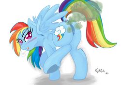 anus ass fart friendship_is_magic kyokimute my_little_pony pegasus pony pussy rainbow_dash_(mlp) vagina