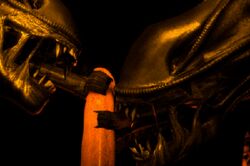 1boy 2girls 3d alien alien_(franchise) animated cock_worship erection faceless_male fellatio female human humansub interspecies malesub oral penis source_filmmaker submissive_male trusting xenomorph