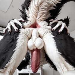 ai_generated anthro anus aurugy balls bending_down big_tail claws erection fluffy_balls fluffy_fur focus_on_ass furry humanoid_penis male male_only no_face realistic sergal solo spreading spreading_ass tailhole view_from_below