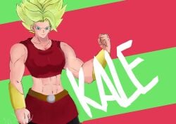 1girls clothed clothing dragon_ball dragon_ball_super dragon_ball_z female female_only fully_clothed kale kale_(berserker) legendary_super_saiyan muscular muscular_female niceyoshi self_upload super_saiyan super_saiyan_2