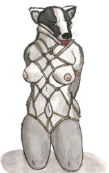 Booru post from rule34.xxx