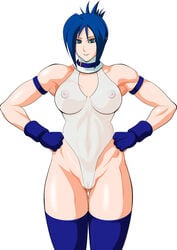 blair_dame blue_eyes blue_hair female female_only fighting_ex_layer human leotard lime_(purple_haze) see-through sheer solo street_fighter street_fighter_ex