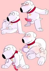 anal anal_fingering animal_genitalia anthro balls brian_griffin canid canine canis collar collar_only domestic_dog erection family_guy fingering fingering_self genitals hi_res hwantsarts knot male mammal masturbation nude penis sheath
