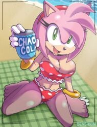 amy_rose anthro eulipotyphlan sega senshion sonic_(series) sonic_speed_simulator sonic_the_hedgehog_(series)