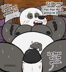 anthro armpit_hair bear bodily_fluids body_hair bound cartoon_network duo first_person_view front_view genitals ice_bear_(we_bare_bears) inside lying male male/male mammal moobs nude on_back panda_(we_bare_bears) penis questionable_consent sebboh sweat we_bare_bears