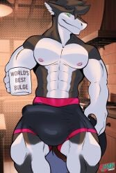 animated anthro black_clothing black_underwear bulge clothed clothing erection erection_under_clothing genitals hi_res j450n2080 male male_only muscular muscular_male nipples penis randy_the_sergal sergal solo tail throbbing throbbing_penis underwear underwear_only
