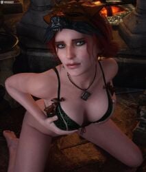 The Witcher (Series) Rule 34 Image