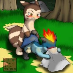 anal blush cyndan dewott furret gay hybrid male mustelid nintendo no_humans otter penis pokemon pokemon_(species) quilava video_games virtrex