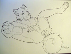 2011 anal anal_insertion anal_sex anthro balls canine claws dildo fur furry hindpaw husky insertion looking_at_viewer lying male male_only necklace nude on_back pawpads paws penetration penis perineum redpander sex_toy sketch solo spread_legs spreading thaine