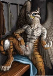 abs avian balls beak beckoning bench blue_eyes eosfoxx falcon feline gryphon looking_at_viewer male nude orange_fur penis pinup pose sheath sitting streifi stripes tiger white_feathers white_fur wings