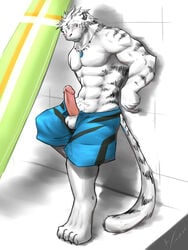 2011 abs anthro balls biceps big_muscles big_penis erection feline kenaihand male male_only muscles penis solo tiger white_tiger