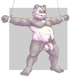 ball_gag balls bondage bound eye_patch eyewear gag half-erect male male_only panda penis solo uncut zangusuu