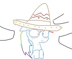 blue_fur blush equine erection friendship_is_magic fur hair horse multicolored_hair my_little_pony nervous pegasus penis pink_eyes plain_background pony precum rainbow_dash_(mlp) rainbow_hair sombrero straight_hair sweat the_weaver wings