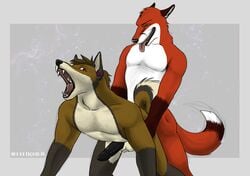 anal anal_sex anthro balls canine doggy_style duo erection fox from_behind fur furry gay jasonwerefox liquid36 male no_humans penetration penis sex simple_background werefox