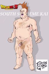 chub chubby dragon_ball dragon_ball_z fat fat_man flashgritz full_body hairy hairy_balls hairy_chest hairy_male male_focus male_only south_supreme_kai tagme tagme_(artist) tagme_(character)