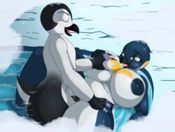 2019 4:3 anthro avian beak big_breasts bird black_beak breast_grab breasts brown_eyes digital_media_(artwork) duo emperor_penguin female female_penetrated gloria_(happy_feet) hand_on_breast happy_feet hi_res huge_breasts looking_pleasured lying male male_penetrating mumble nipples non-mammal_breasts on_back partially_submerged penetration penguin snow spread_legs spreading steam straight suirano thick_thighs tongue tongue_out vaginal_penetration voluptuous water wide_hips